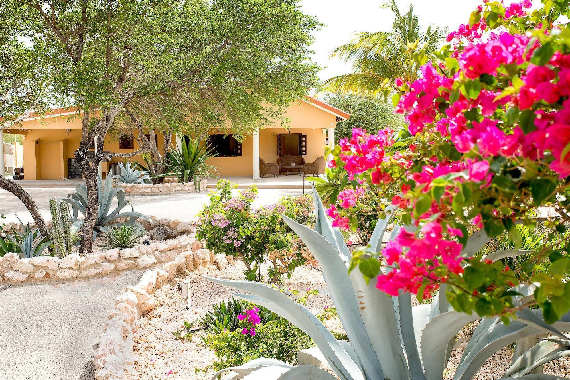 Lagun Blou Dive And Beach Resort Exteriör bild